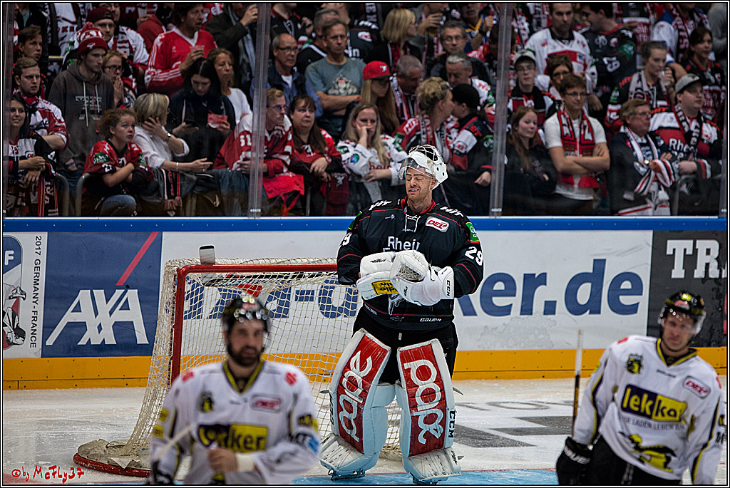 Koelner Haie - Krefeld Pinguine , 23.09.16(KW38)